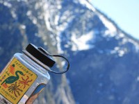 How Much Impact Does a Reusable Water Bottle Actually Make? A Look at 1, 5, and 10&nbsp;Years