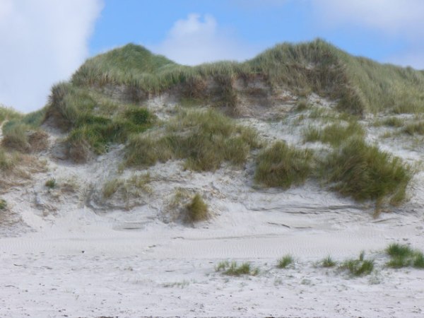 The Role of Sand Dunes in Flood&nbsp;Defense